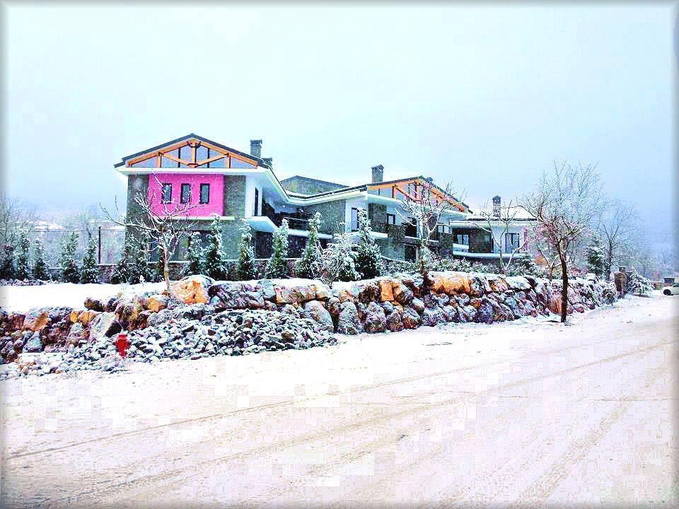 Prytaneio Design Hotel Dodoni Екстериор снимка